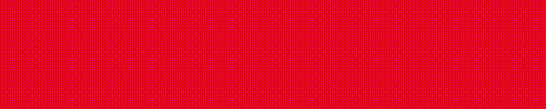 Banner BNW 2026.gif