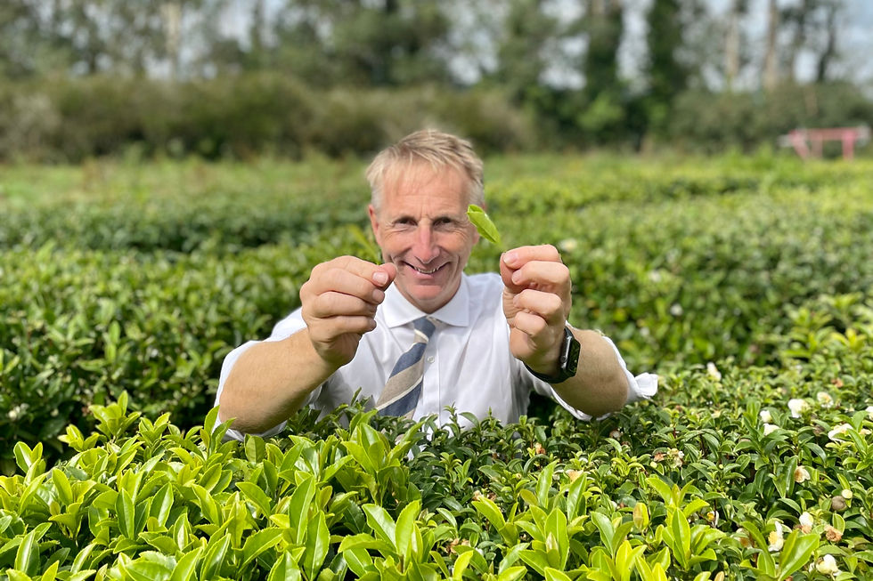 Cornwall's Wild Romance