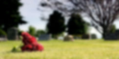 AdobeStock_45019.jpeg