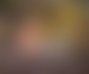 Zebrina is at the Tranzac tonight!