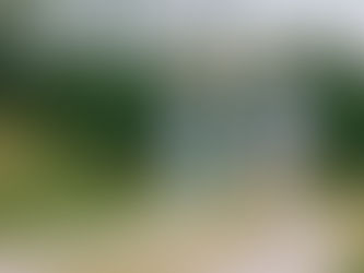 What to know about a blood clot in the leg