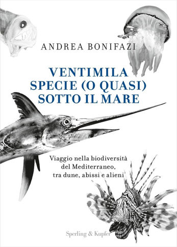 Ventimila specie (o quasi) sotto il mare. Con Bonifazi alla scoperta del Mediterraneo
