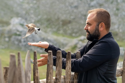Uccelli del terrore al Festival degli Animali in Giallo. Prossima tappa con Rosario Balestrieri: "Gli uccelli sono delle forme di vita incredibili, capaci di attraversare il globo da una parte all’altra". Lo incontreremo il 7 febbraio alla Pietrasanta