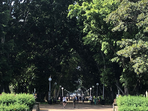 Hyde Park.jpg