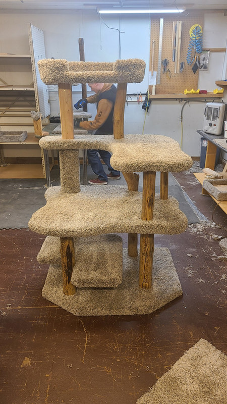 Custom WTW cat tree build in the workshop