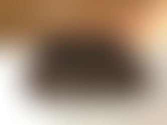 ビオトープ　小　