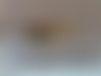 めだか撮影用ケース購入