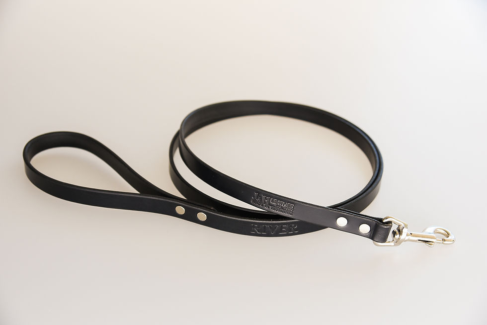 Thumbnail: Dog Lead