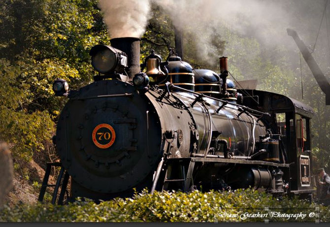 Meet the Dollywood Express White Pass #70. What a beauty! Built in 1938 and she's still going st