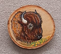 solo Art Show 2026 bison head on birch disk.jpg