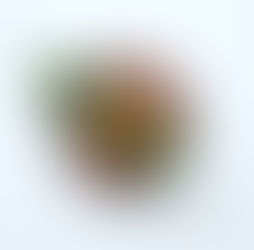 春の味覚と一緒に楽しむ！【個食シリーズ】