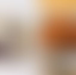 【2/16～2/28迄】山形名物「玉こんにゃく」１袋プレゼント☆