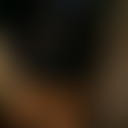 Thieves with Fake Extensions rob the Meta Business House