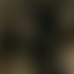 The Heist at the Financial Vault