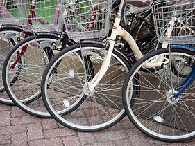 ◆自転車専門店
