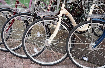 ◆自転車専門店