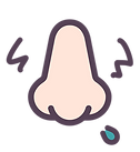 鼻のイラスト