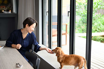 女性と犬