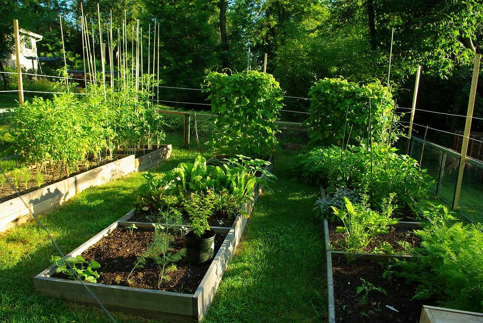 Mini nursery