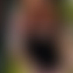 Where Can Customers Meet Girls And Meet Them?