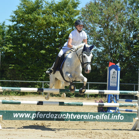 SPRINGTURNIER AM 25./26.07.2026