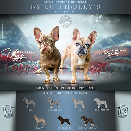 Uggy x Zaya mating.PNG