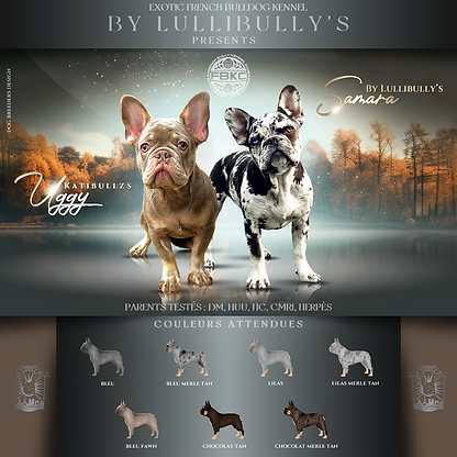 Uggy x Samara mating.PNG