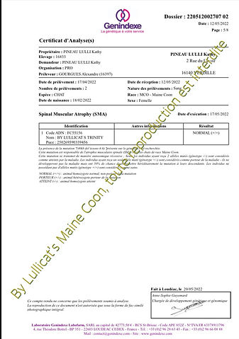 eZy Watermark_24-05-2022_03-52-22PM.JPG