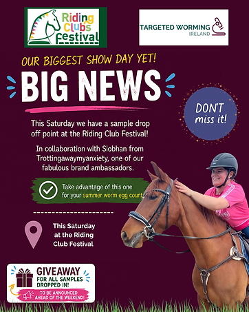 RC Festival (1).png