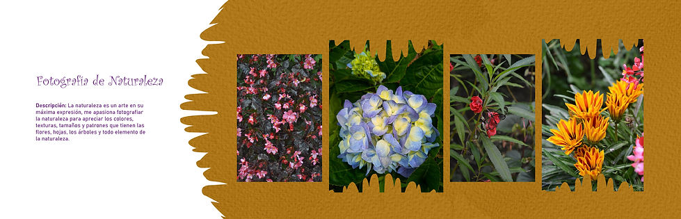 PORTAFOLIO TERMINADO-16.jpg