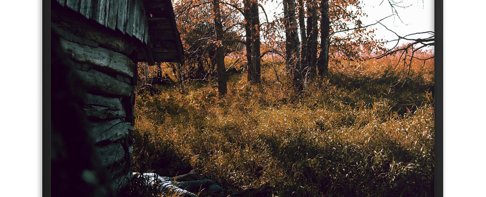 Cabin In The Woods (Framed)