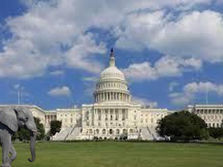 House Republicans kidnap an elephant from the National Zoo to be House Speaker