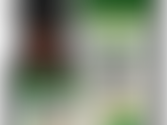 Vive Biotics Reviews: A Revolutionary Solution For A Clean Gut