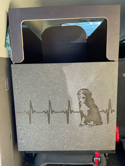 Gravur Hundebox