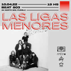 Las ligas menores en puebla 22