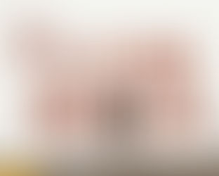 San Marco Living: The Art of Relocating in Jacksonville