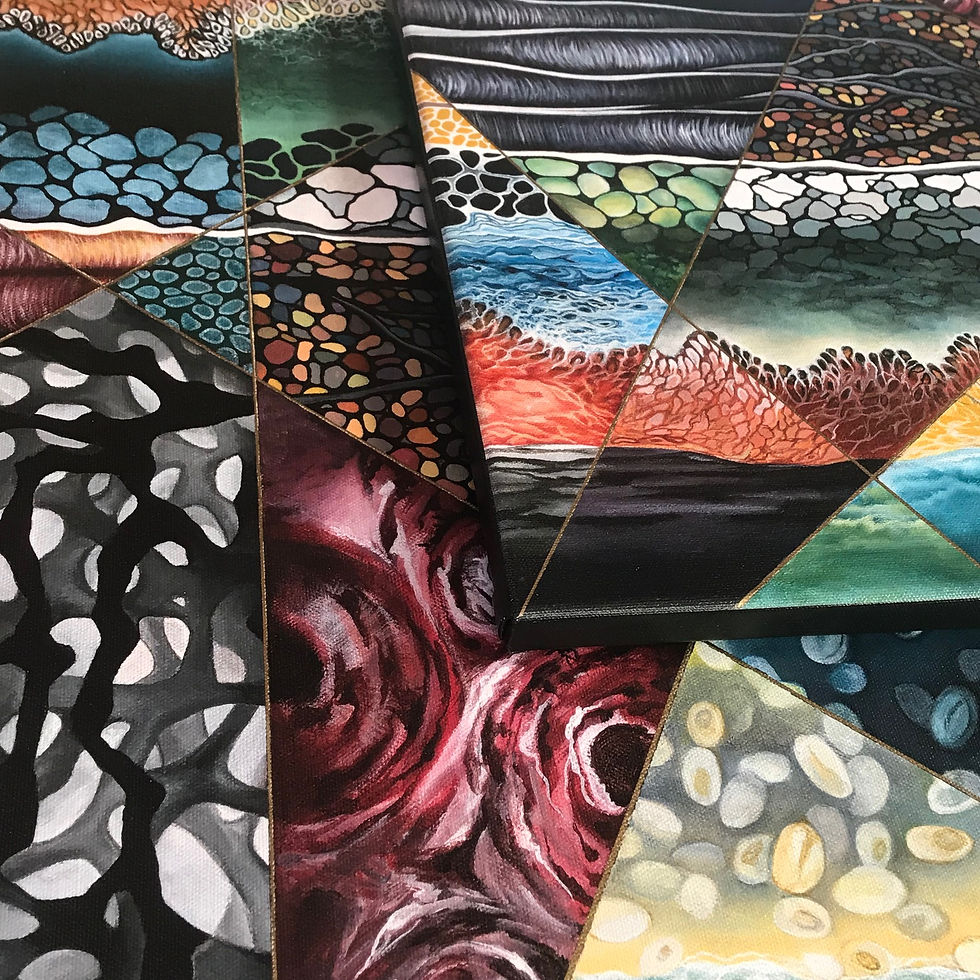 Thumbnail: "Layers and Angles" Facial Plastics