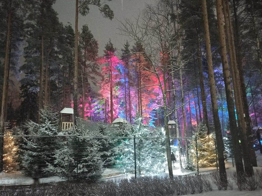Охта-парк. Сказка зимнего леса..