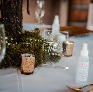 Lindie & Chris Wedding 3.jpeg