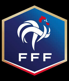 Logo FFF Social Media Sport