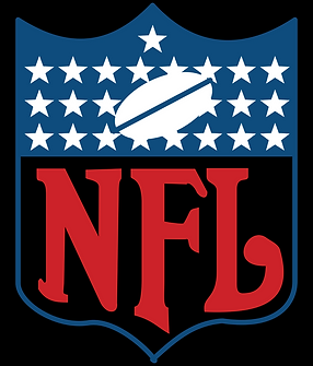 Logo NFL Social Media Sport