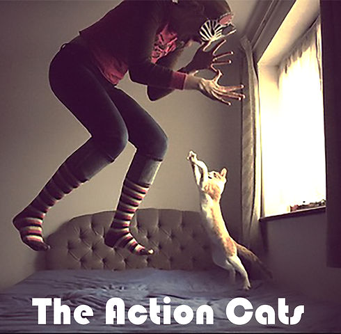 TheActionCats1.jpg