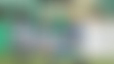 Supporting Local Sport: Beton Bauen @ Caerphilly RFC