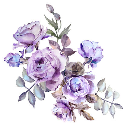 AdobeStock_246001531.jpeg
