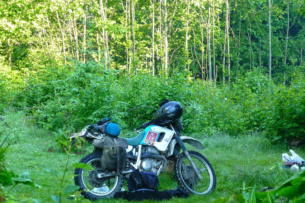 Picasa - P1030100+.jpg