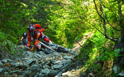 Picasa - P1060021 copy.jpg