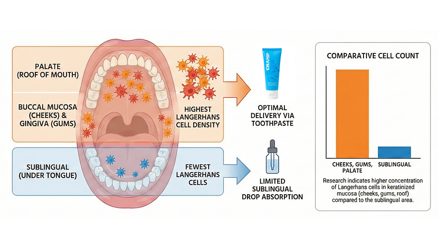 Highest Langerhans Cell Density.png