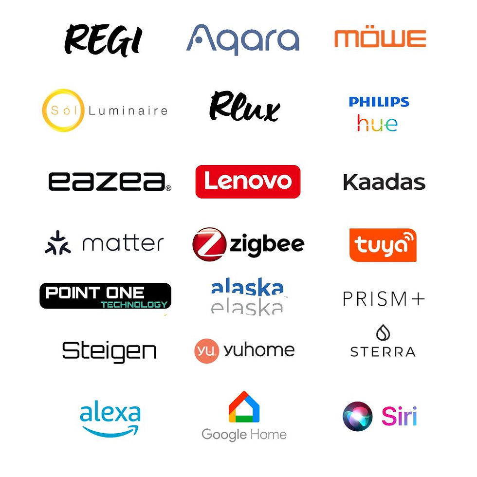 Shop Regi Rocker Bundle (2).jpg