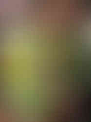 close up back view of mini black sacred heart sculpture showing the metal hook for hanging on a wall