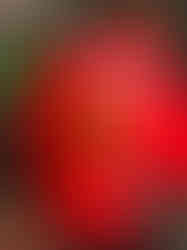 close up view of central eye on vibrant red sacred heart sculpture with green crackle bat wings